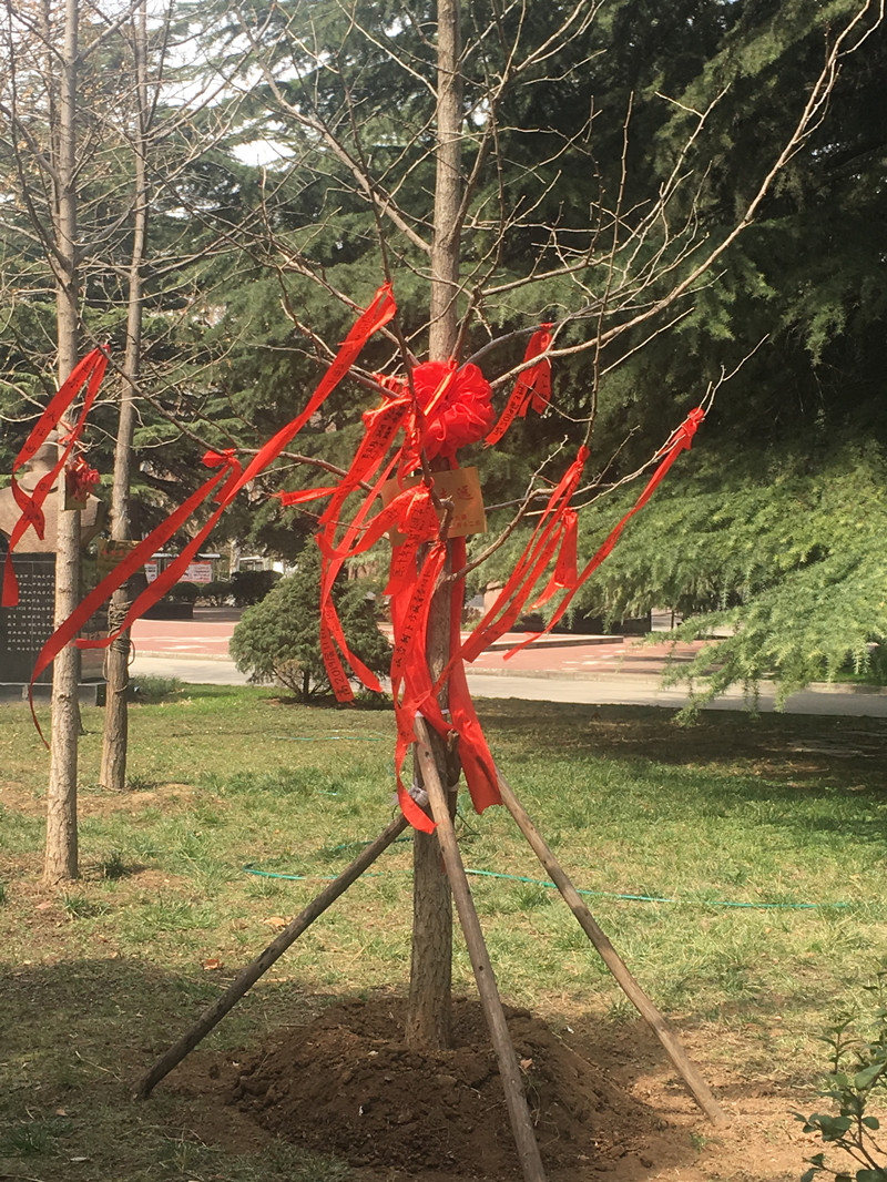 微信圖片_20190312170326_副本.jpg