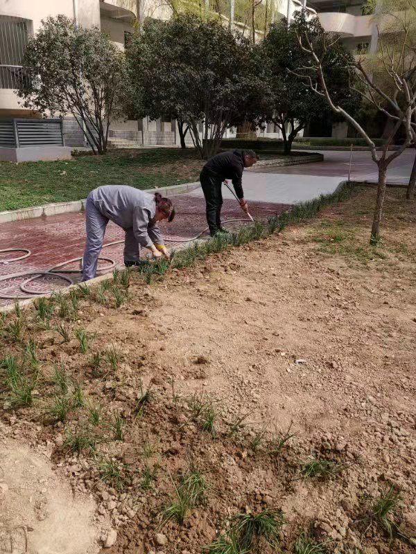 微信圖片_2019031216090116_1.jpg