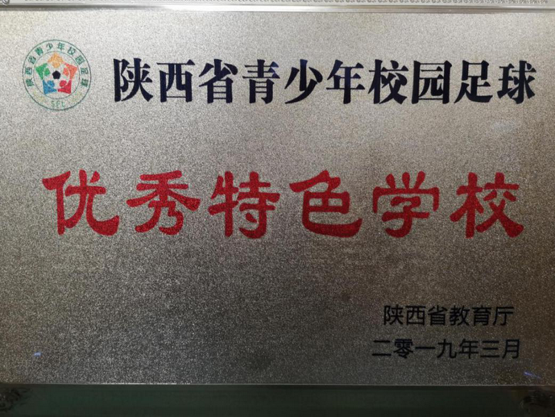 陜西省青少年校園足球優秀特色學校201903_調整大小.png
