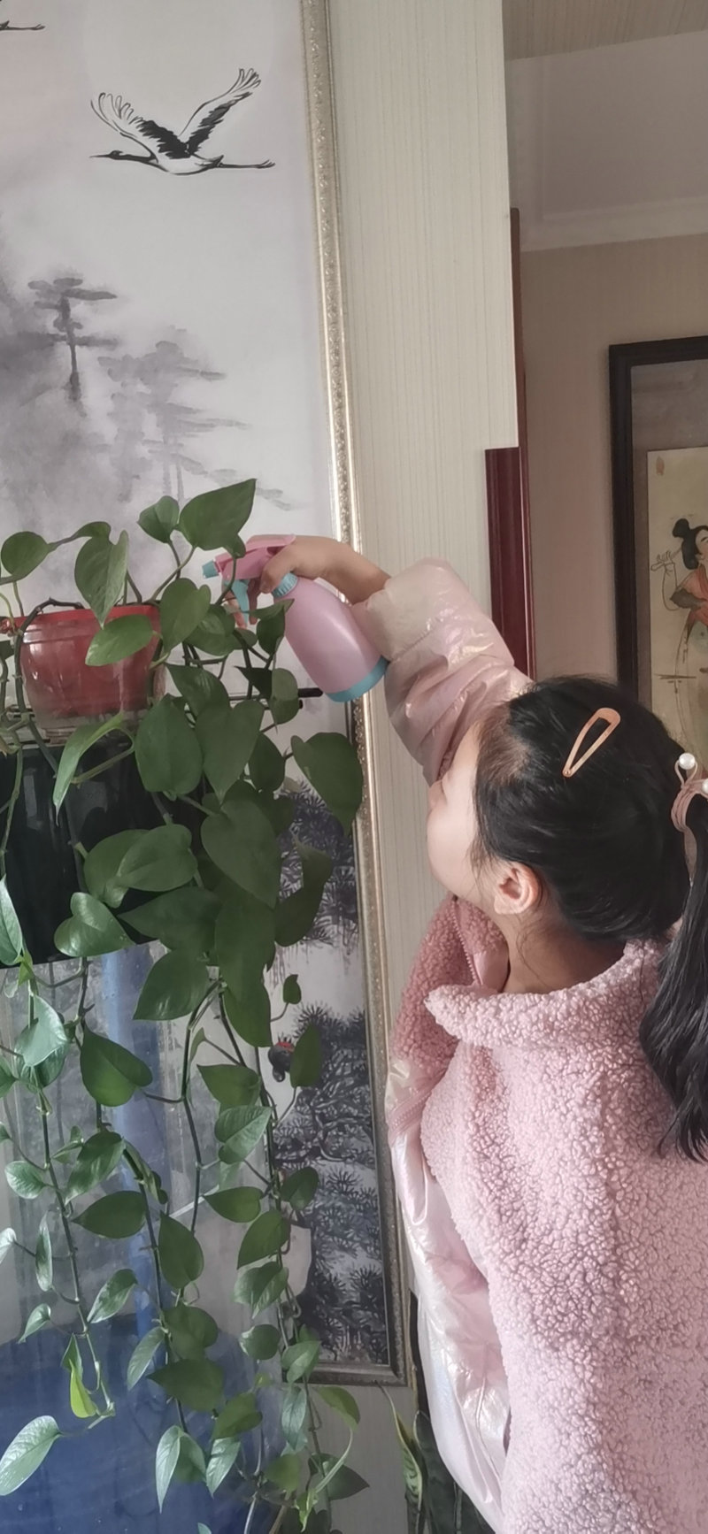 守護綠植1.jpg