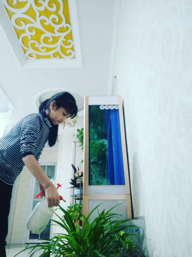 守護綠植2.jpg