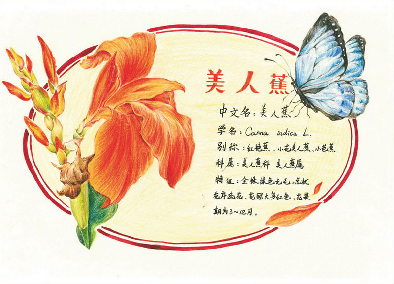 圖片1.jpg