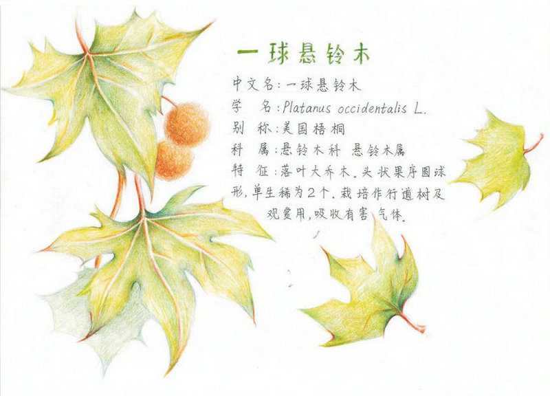 圖片2.jpg