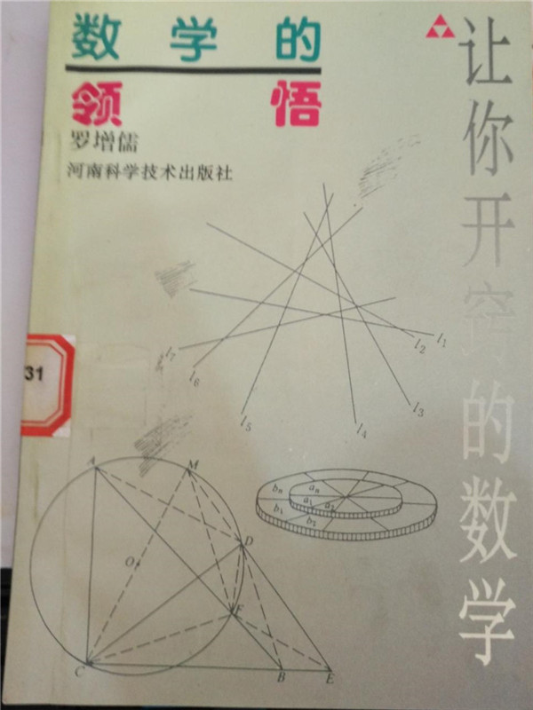 《數學的領悟》_副本.jpg