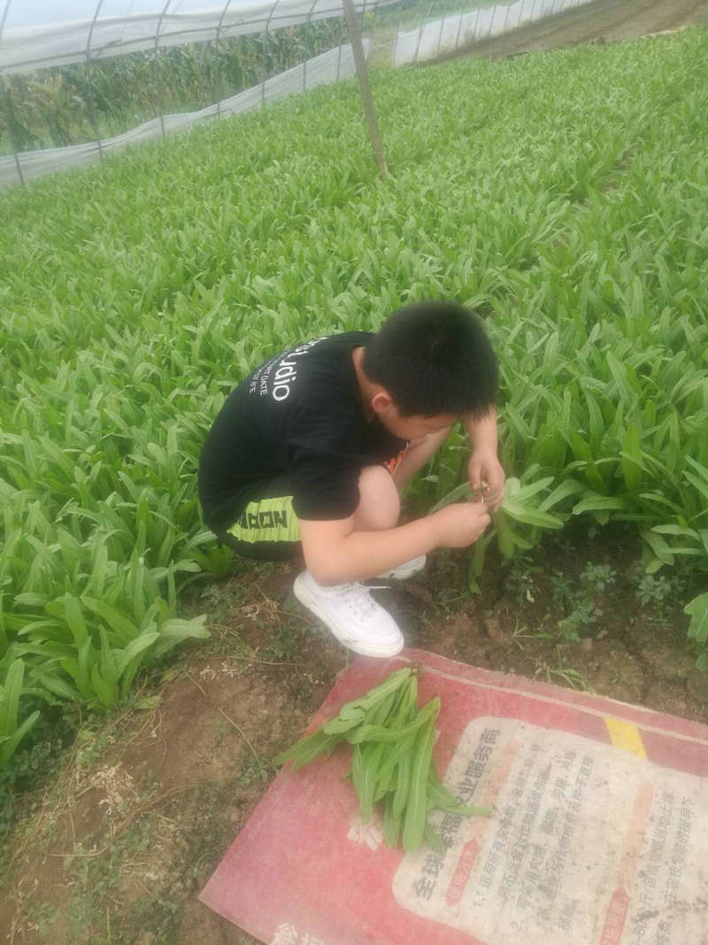 圖三.jpg