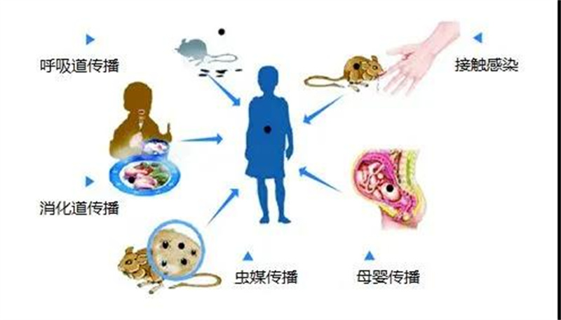 微信圖片_20211213095512.jpg